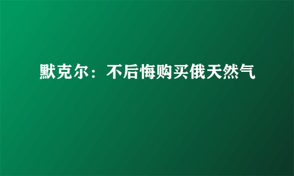 默克尔:不后悔购买俄天然气