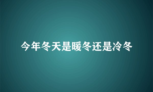 今年冬天是暖冬还是冷冬