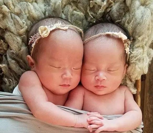 9分钟内连生六胞胎？这锅“试管婴儿”可能背不了