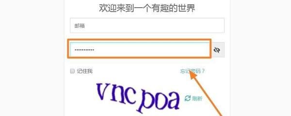 浏览器星号密码怎么显示出来