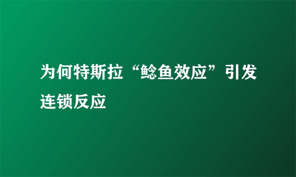 为何特斯拉“鲶鱼效应”引发连锁反应
