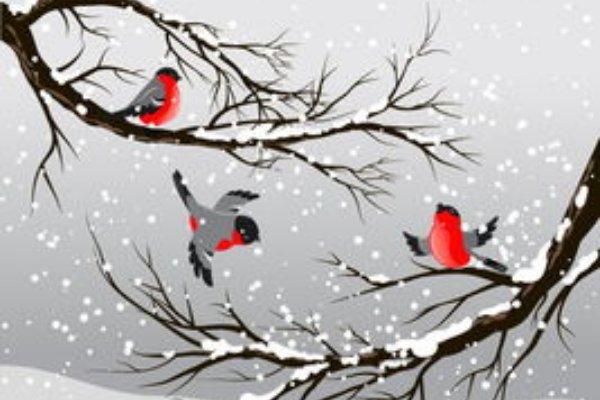 大雪节气习俗