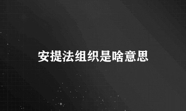 安提法组织是啥意思