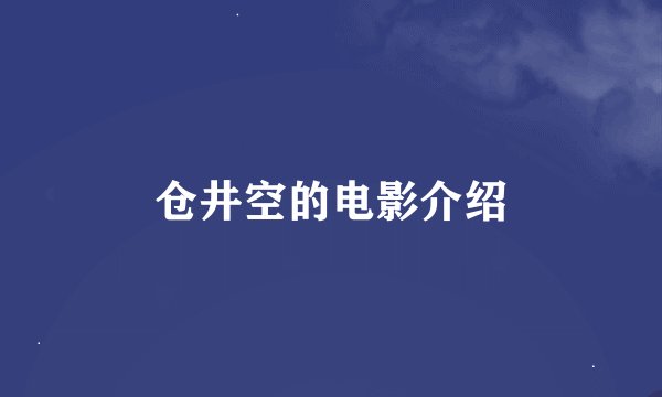 仓井空的电影介绍