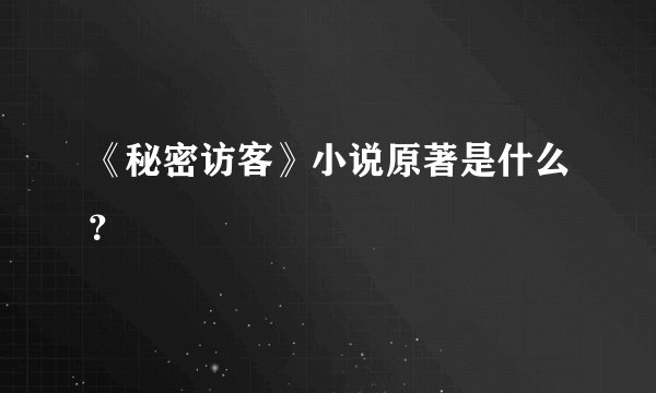 《秘密访客》小说原著是什么?