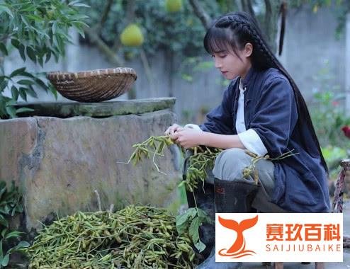 看了这么久的抖音，才发现李子柒的成功居然可以复制