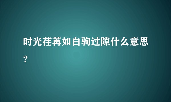 时光荏苒如白驹过隙什么意思?