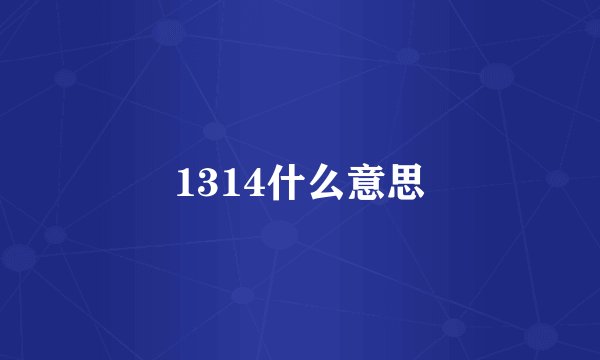1314什么意思