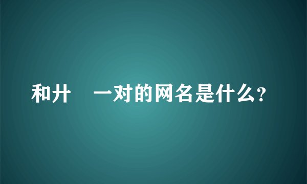和廾匸一对的网名是什么？