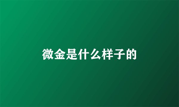 微金是什么样子的