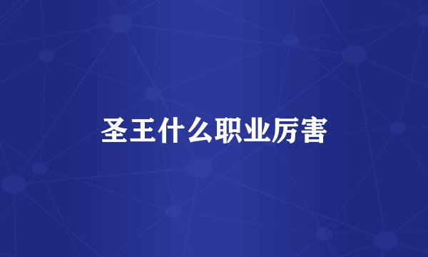 圣王什么职业厉害