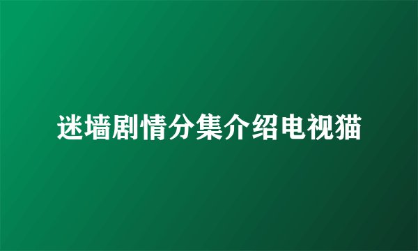 迷墙剧情分集介绍电视猫