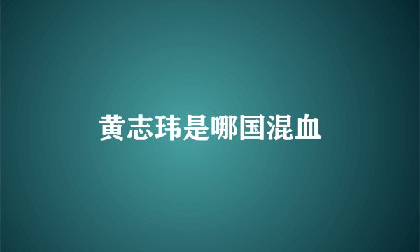 黄志玮是哪国混血