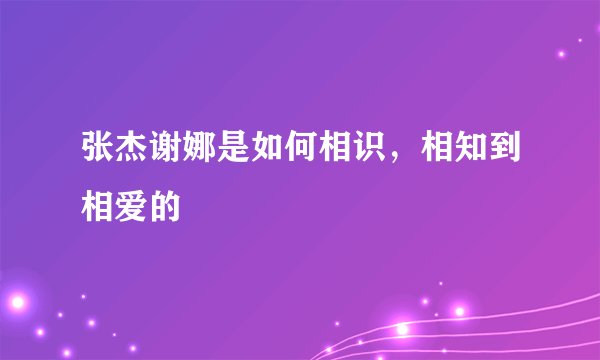 张杰谢娜是如何相识，相知到相爱的