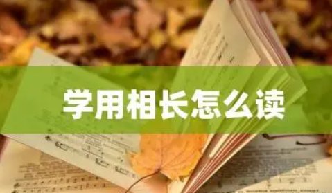 学用相长是读chang还是zhang