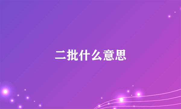 二批什么意思