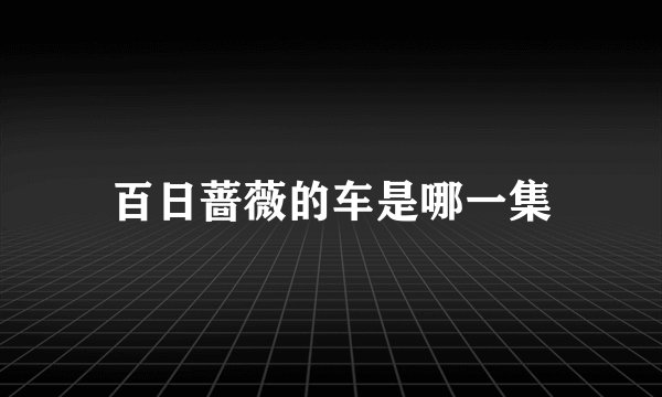 百日蔷薇的车是哪一集