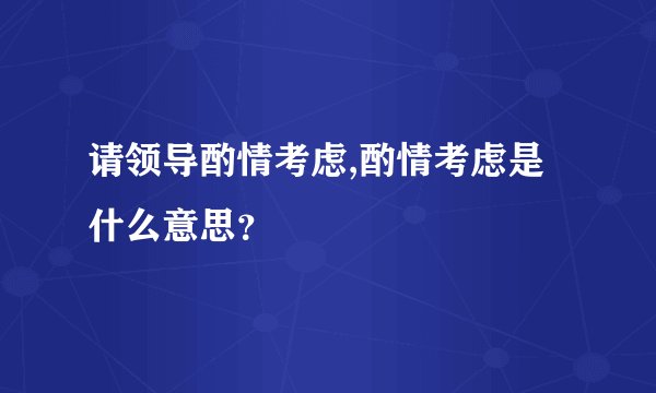 请领导酌情考虑,酌情考虑是什么意思?