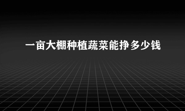 一亩大棚种植蔬菜能挣多少钱