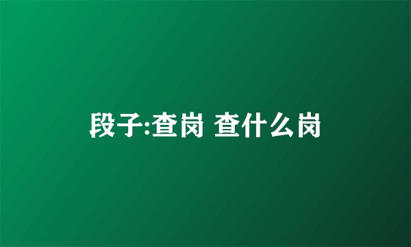 段子:查岗 查什么岗