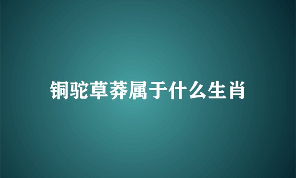 铜驼草莽属于什么生肖