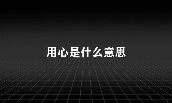 用心是什么意思