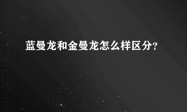 蓝曼龙和金曼龙怎么样区分？