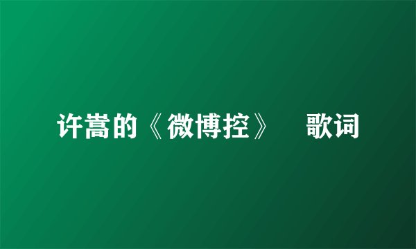 许嵩的《微博控》 歌词