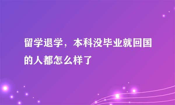 留学退学，本科没毕业就回国的人都怎么样了