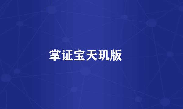 掌证宝天玑版‌