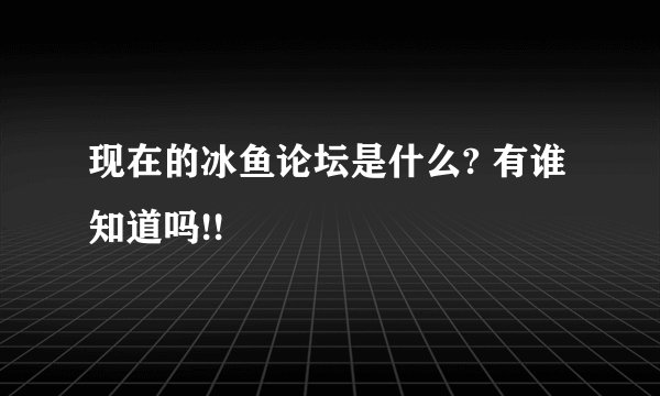 现在的冰鱼论坛是什么? 有谁知道吗!!
