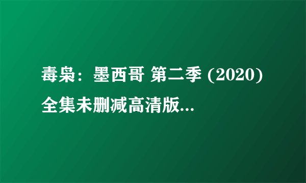 毒枭：墨西哥 第二季 (2020)全集未删减高清版免费下载