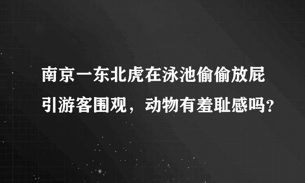 南京一东北虎在泳池偷偷放屁引游客围观,动物有羞耻感吗?