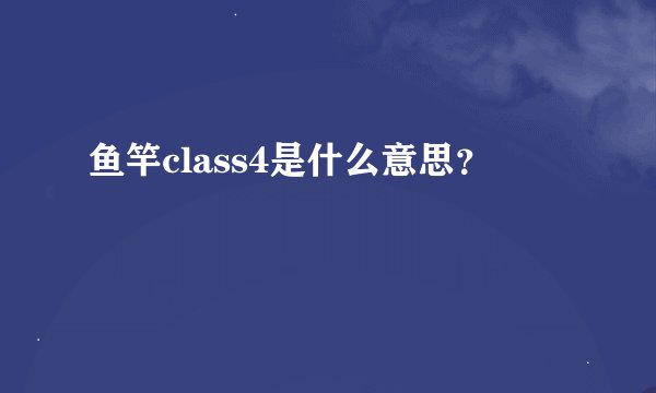 鱼竿class4是什么意思？