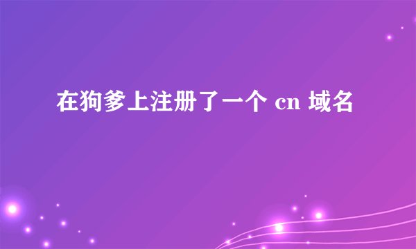 在狗爹上注册了一个 cn 域名