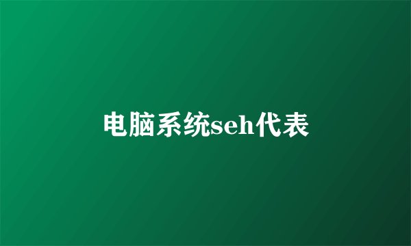 电脑系统seh代表