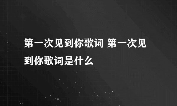 第一次见到你歌词 第一次见到你歌词是什么