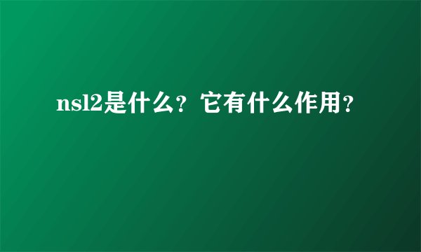 nsl2是什么?它有什么作用?