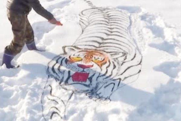 民间高手！东北大叔雪地画老虎吓野猪，你觉得他画的如何？