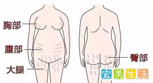 碧芙源这款产品好不好用?