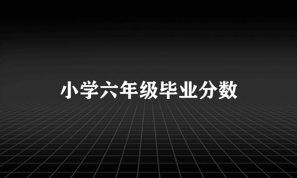 小学六年级毕业分数