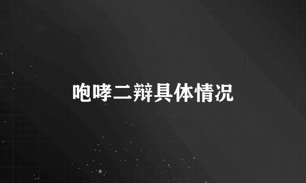 咆哮二辩具体情况