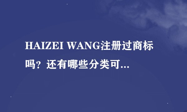 HAIZEI WANG注册过商标吗？还有哪些分类可以注册？