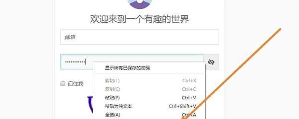 浏览器星号密码怎么显示出来