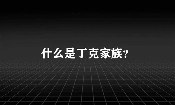 什么是丁克家族?