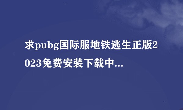 求pubg国际服地铁逃生正版2023免费安装下载中文版折扣版汉化最新版下载完整百度网盘链接下载