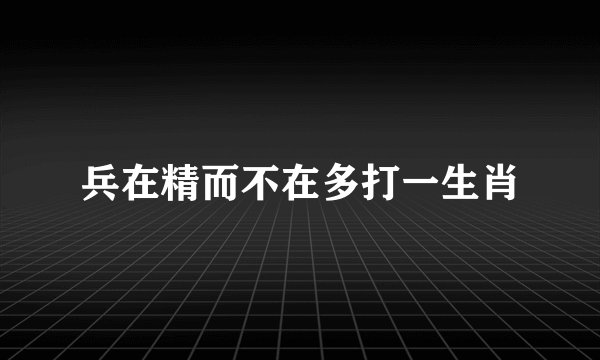 兵在精而不在多打一生肖