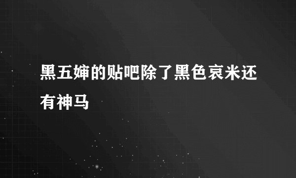黑五婶的贴吧除了黑色哀米还有神马