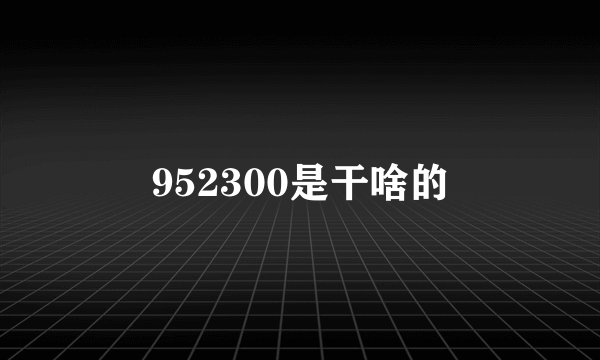 952300是干啥的