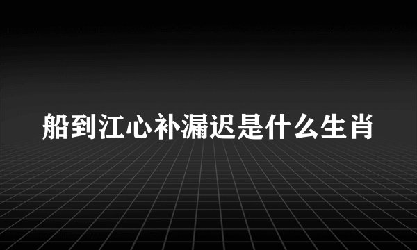 船到江心补漏迟是什么生肖